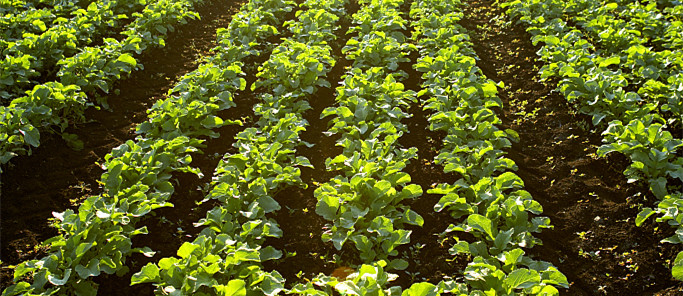 201903211232045c9313c459177