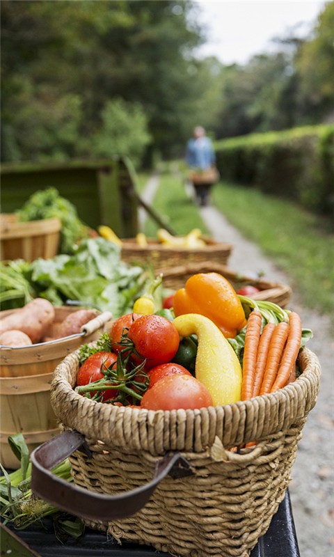 201903211502265c9337026d4e3